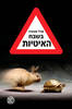 בשבח האיטיות - הספר